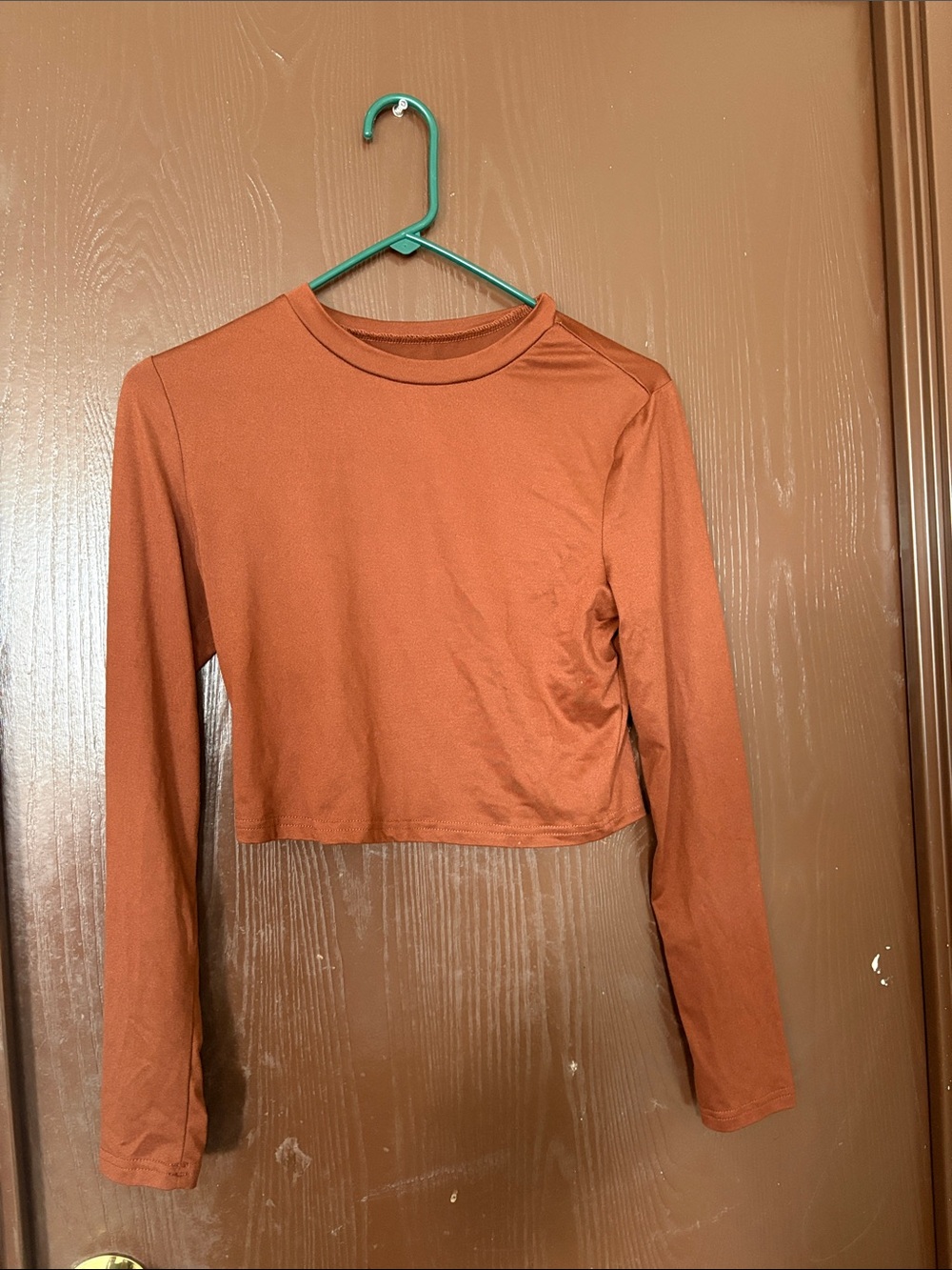 Cropped Long-Sleeve Top in Rust